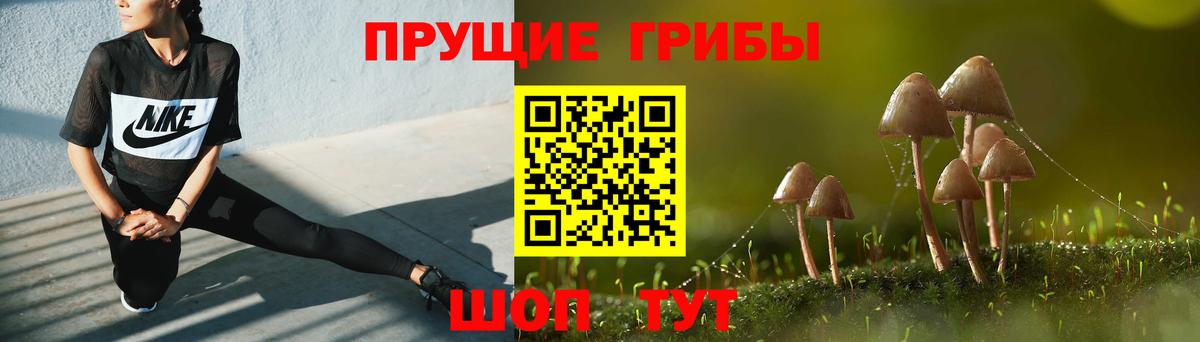Галлюциногенные грибы прущие грибы  Вход с VPN  Псилоцибиновые грибы ЛСД  Кыштым 
